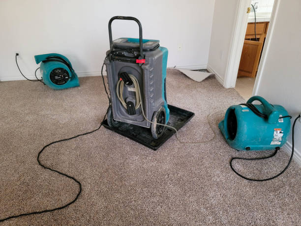Best Water damage restoration near me  in Mabank, TX