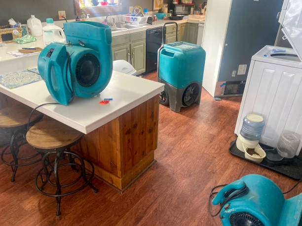 Best Water damage contractors near me  in Mabank, TX