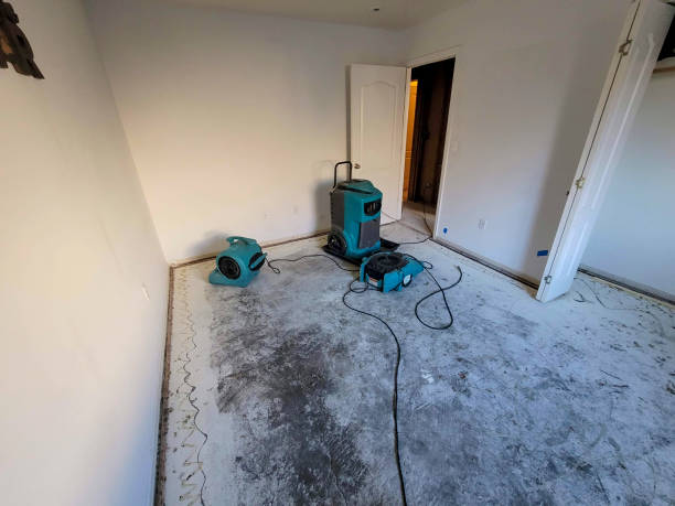 Best Carpet water damage restoration  in Mabank, TX