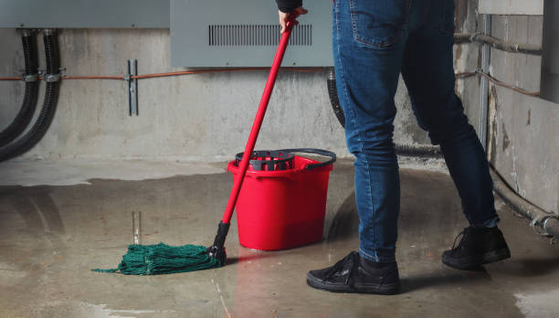 Best Sewage cleanup and water damage restoration  in Mabank, TX